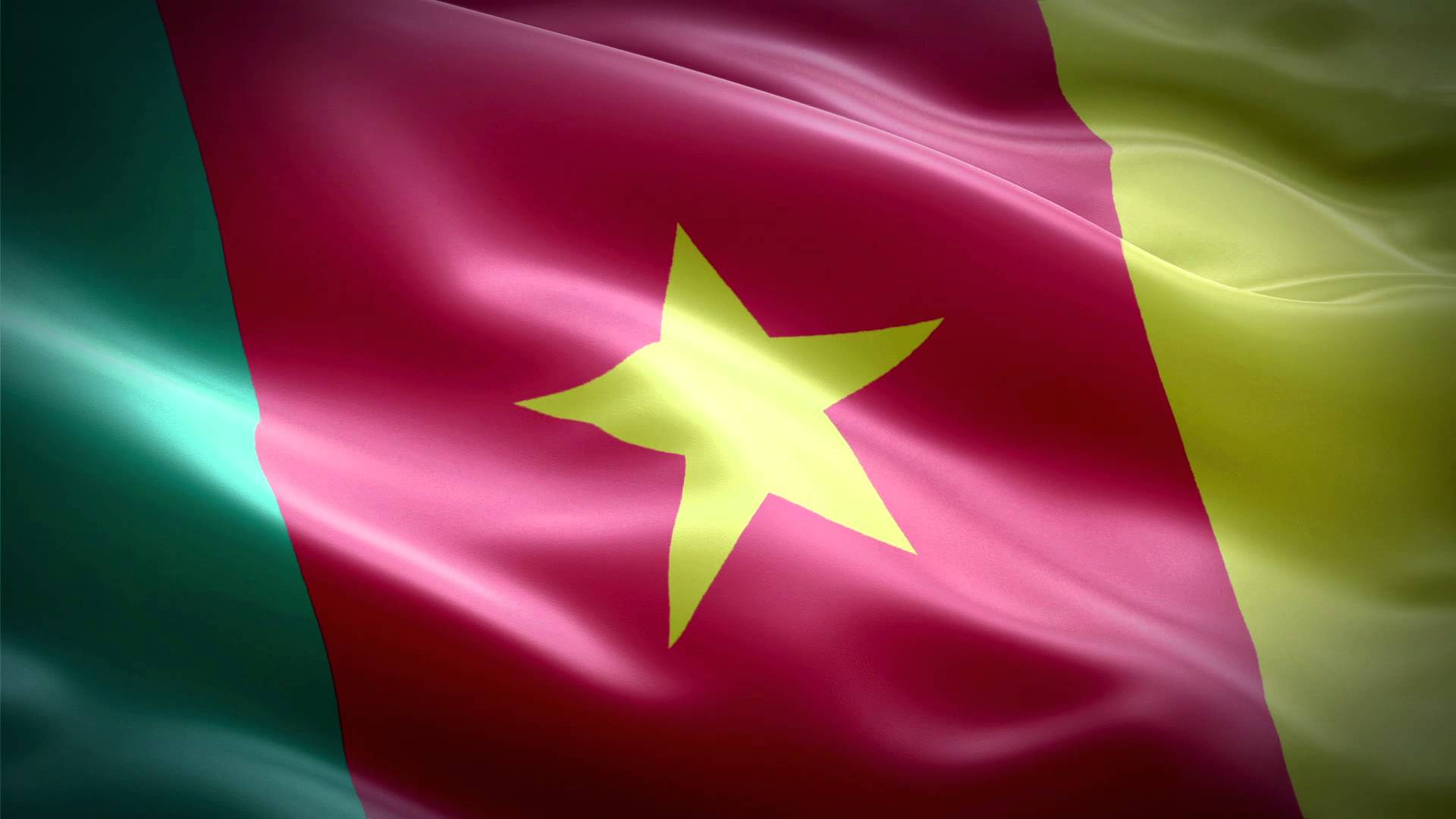 Cameroon Flag